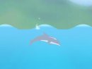 Играть игру онлайн и бесплатно: Dolphin Cup