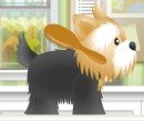 Играть игру онлайн и бесплатно: Pet Grooming Studio