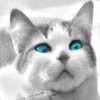 Бесплатные Аватары для форумов (7 100)