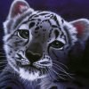 Бесплатные Аватары для форумов (7 100)