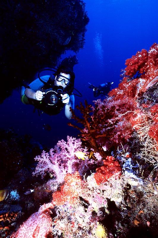 Fotky: Papua-Nov Guinea (foto, obrazky)