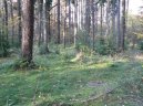 :  > Česká republika - Česko (cestopis) (The Czech republic)