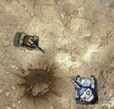 :  > Crusader tank (bojové free flash hra on-line)