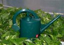 Полив цветов и влажность воздуха (Watering flowers and humidity) / Комнатные растения и цветы / Советы по выращиванию