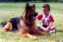 Основные команды (Basic commands) / Породы собак / Уход, советы, бесплатные объявления, форум, болезни