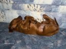 :  > Irský setr (Irish Red Setter)