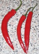 Paprika Křovitá, Kayenský Pepř