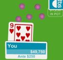 Texas holdem poker (free online flash game)