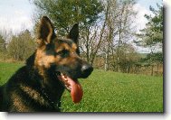 Dixík