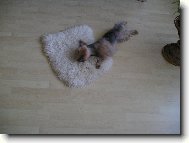 Фотография: ??????????? ??????