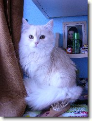 náš miláček