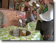 Mátový čaj