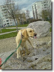 žíznívá Bára