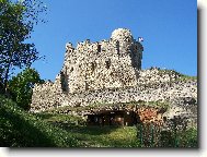 Michalovická putna