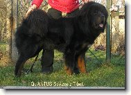 Quantus Strážce z Tibetu