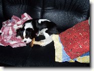 Lucky houbařil