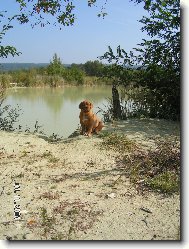 Mortimor štěŇátko