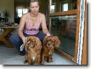 Abby, já, Chicco