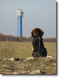 Maťo
