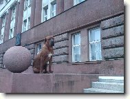 Před souden na Pankráci
