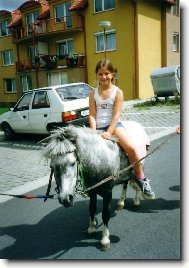 poník a město