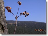 Podzim v Krkonošich