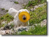 Фотография: ?????????? ????????