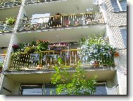 balkon s boungaivilleemi -červenec 2005