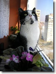 Фотография: ???? ?? ?????? ??????