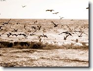 Фотография: Остальные