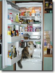 I´m hungry...