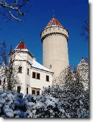 bručoun