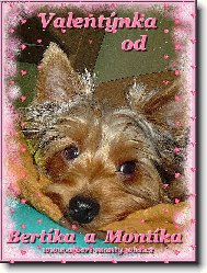 Montík
