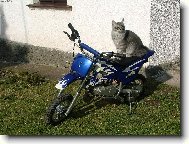 motorkářka