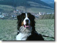 Beneček