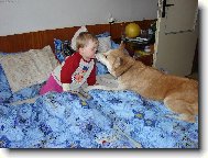 Jedna pusa je málo
