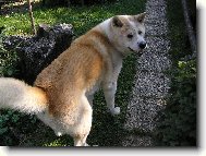 nazdáár