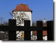 Фотография: ??????? ??????????