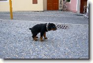 A ještě vyčurat a můžum jít domu!!! :-)