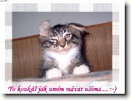 To koukáš jak umím mávat ušima ... :-)