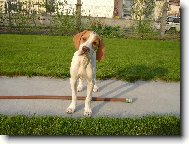 Maxík vymýšlí