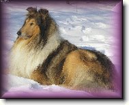 Maxík