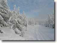 Фотография: ??????? ??????????