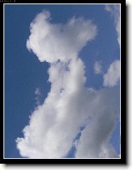 Фотография: Остальные