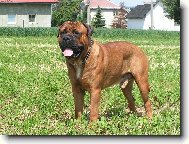 Fido Stražnicky Raj