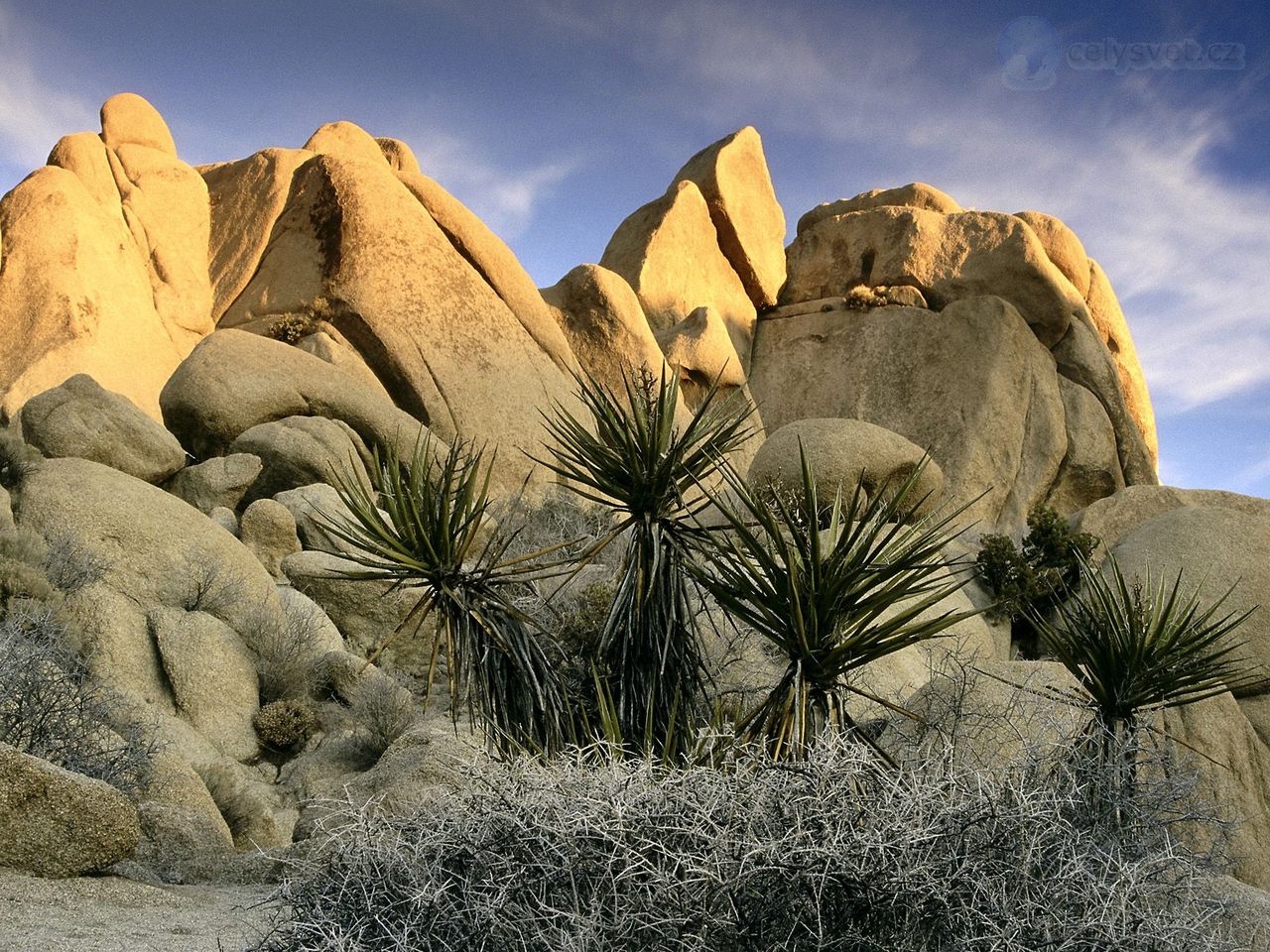 скалам Иисус дерева национальный парк Калифорния Rock Formations