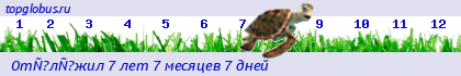 http://www.topglobus.ru/metrik/m-cc9a5d09aa71f879f7135f788c48b952.png