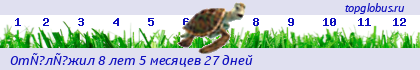 http://www.topglobus.ru/metrik/m-cc9a5d09aa71f879f7135f788c48b952.png