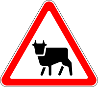 Дорожный знак: 1.26 Перегон скота