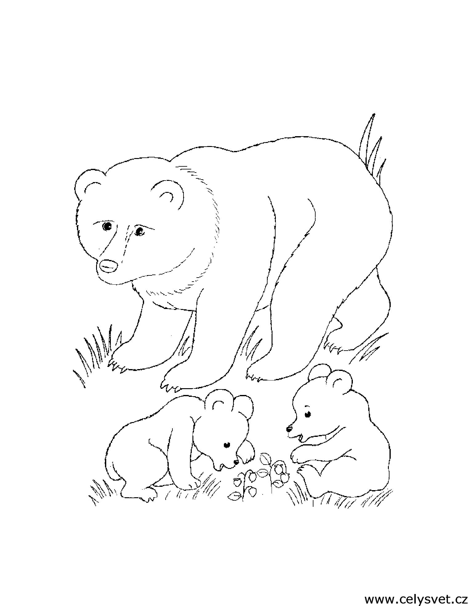 Распечатать бесплатные раскраски для детей: Животные: Медведи